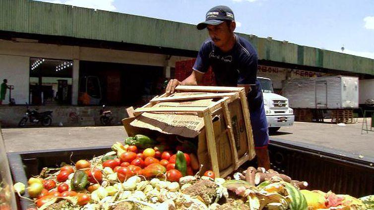 Transportado por rodovia, muitas vezes, o alimento chega estragadado ao destino final (TV Brasil/ Divulgação)