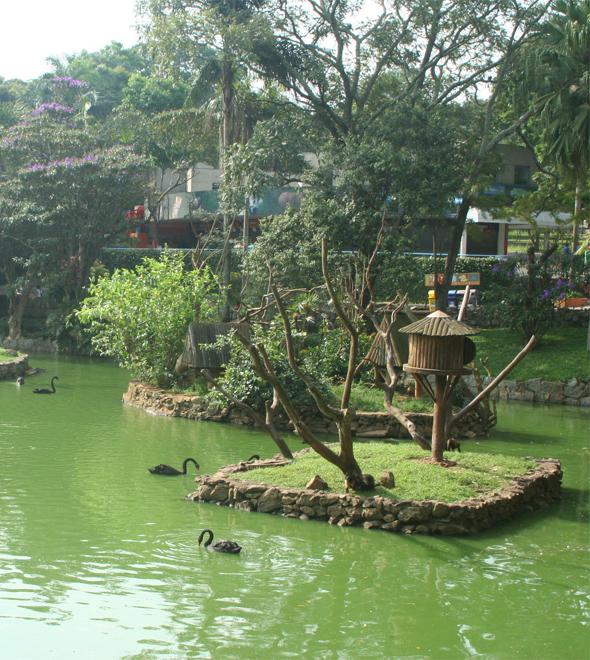 Infecção de macaco em zoológico de SP pode ter começado com homem (Divulgação)