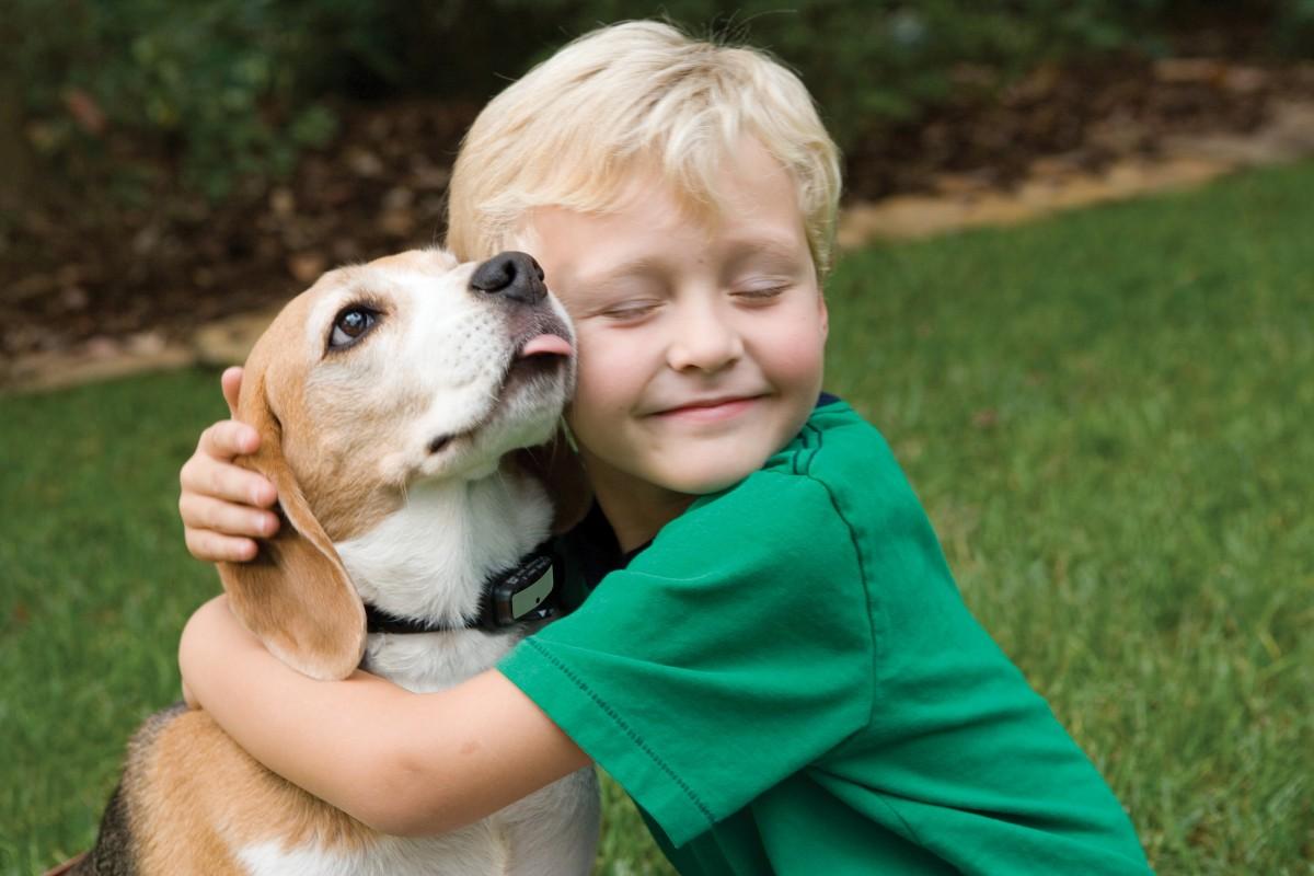Dar ou não um animal de estimação para seu filho? (Divulgação)