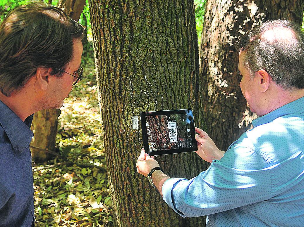 O prefeito Jonas Donizette (PSB) entregou ontem o sistema de leitura QR Code no Bosque dos Jequitibás (César Rodrigues)