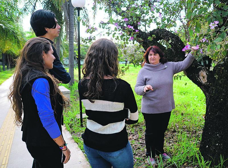 O alvo foram as aves que disseminam sementes e contribuem para a recuperação ambiental daquela gleba, remanescente da Mata da Fazenda Santa Elisa (Patrícia Domingos/AAN)