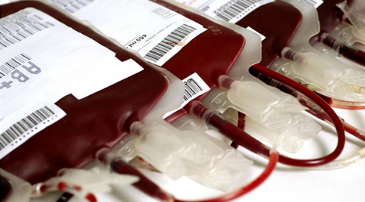 De acordo com o Ministério da Saúde, uma única doação de sangue pode salvar até quatro vidas (Divulgação)
