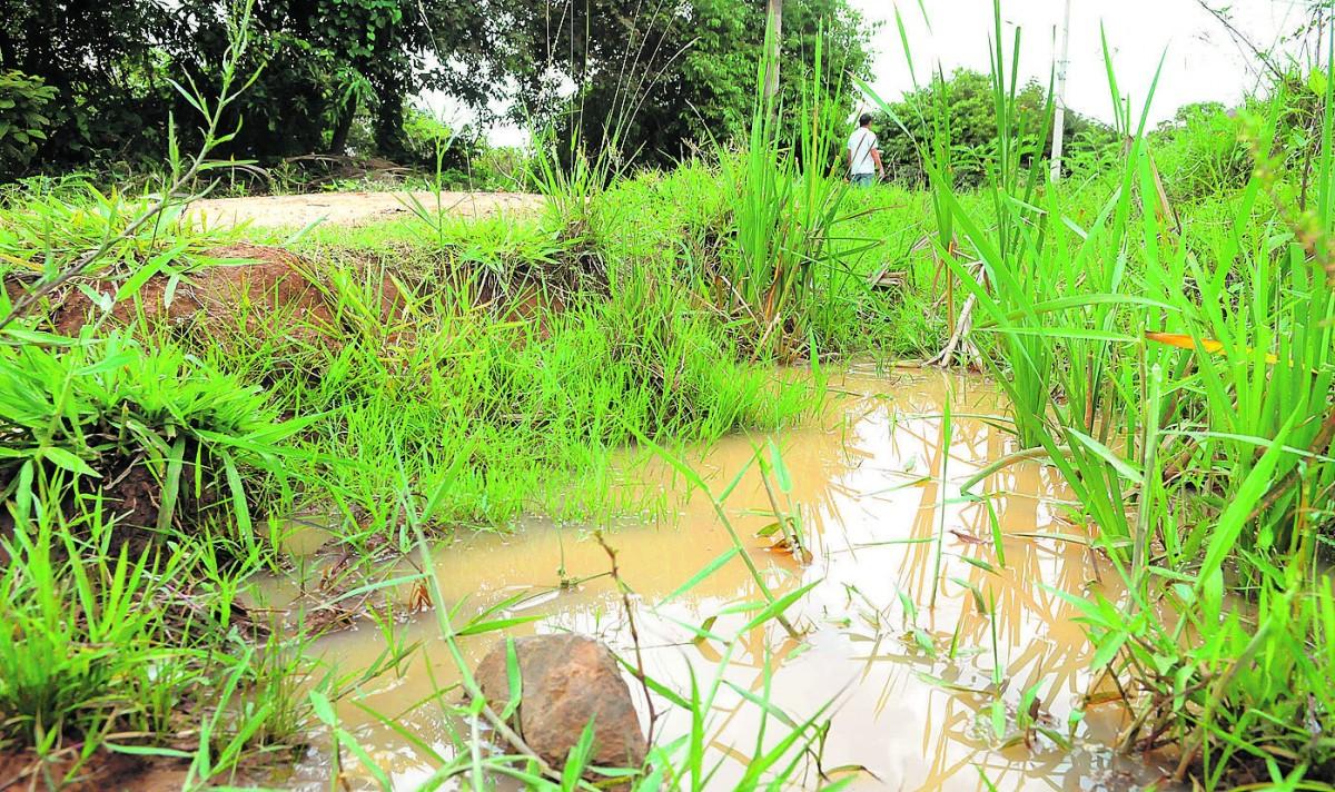 Nascente no bairro Carlos Gomes, em Campinas: donos de áreas de até 40 hectares em zonas de proteção de mananciais serão selecionados (Cedoc/RAC)