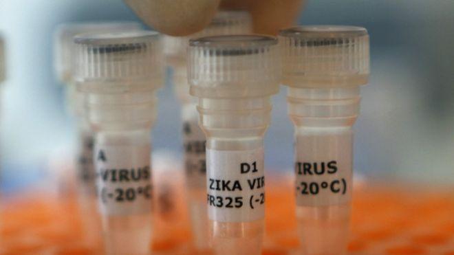 A Organização Mundial de Saúde (OMS) afirmou que a epidemia de zika permanece como uma emergência de saúde internacional. (Cedoc/RAC)