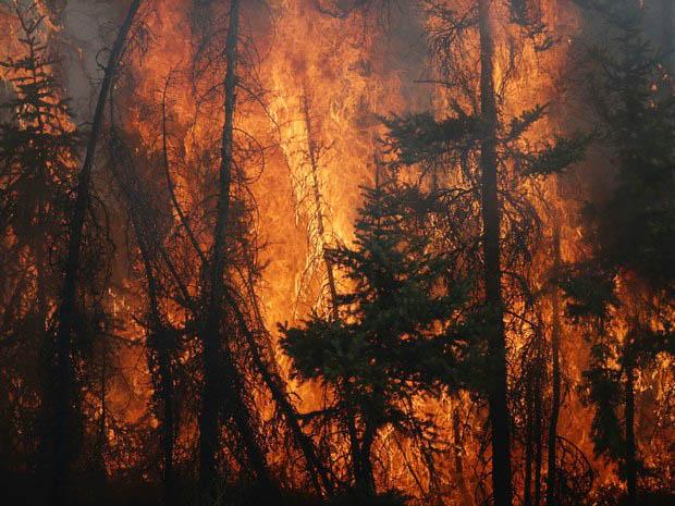 O fogo gigantesco de Fort McMurray já devastou cerca de 2.900 km2 de florestas (Cole Burston/France Press)