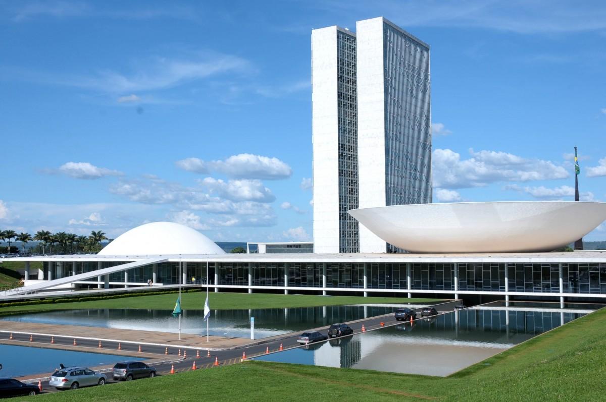 Ativistas que integram o Comitê Pró-Democracia é composto também por servidores da Câmara (Divulgação)