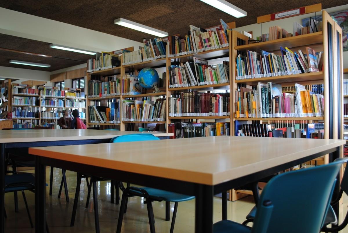 Vantagens de utilizar um software para a biblioteca. (Divulgação)