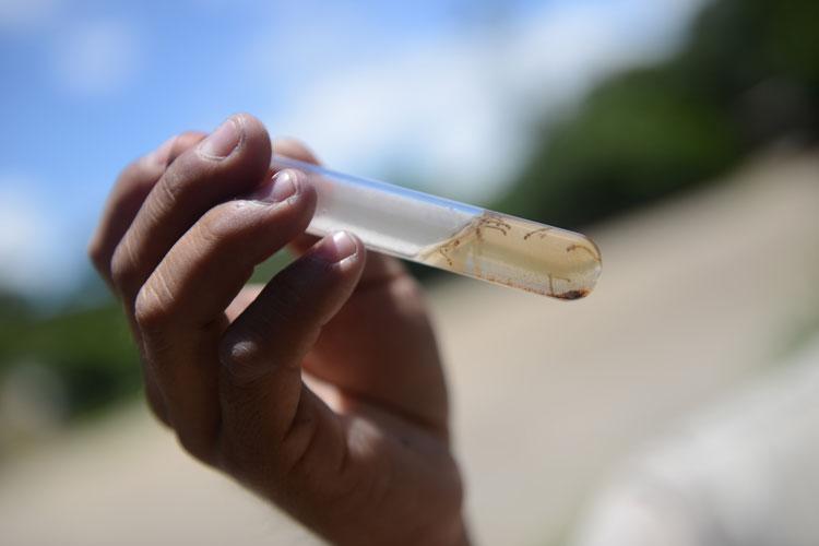 Minas Gerais e São Paulo são os dois Estados com o maior número de casos de dengue neste ano (AFP)