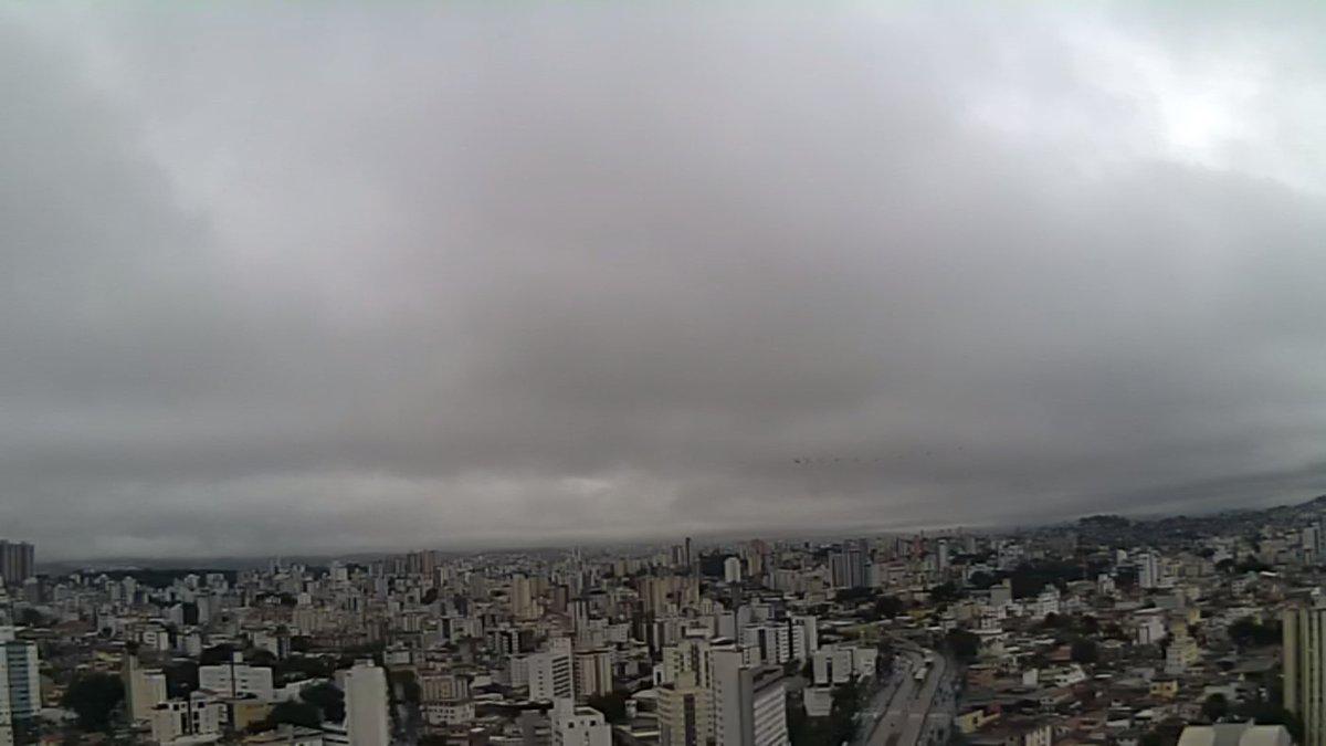 As chuvas também causaram o deslocamento de animais silvestres para áreas urbanas. (Defesa Civil)