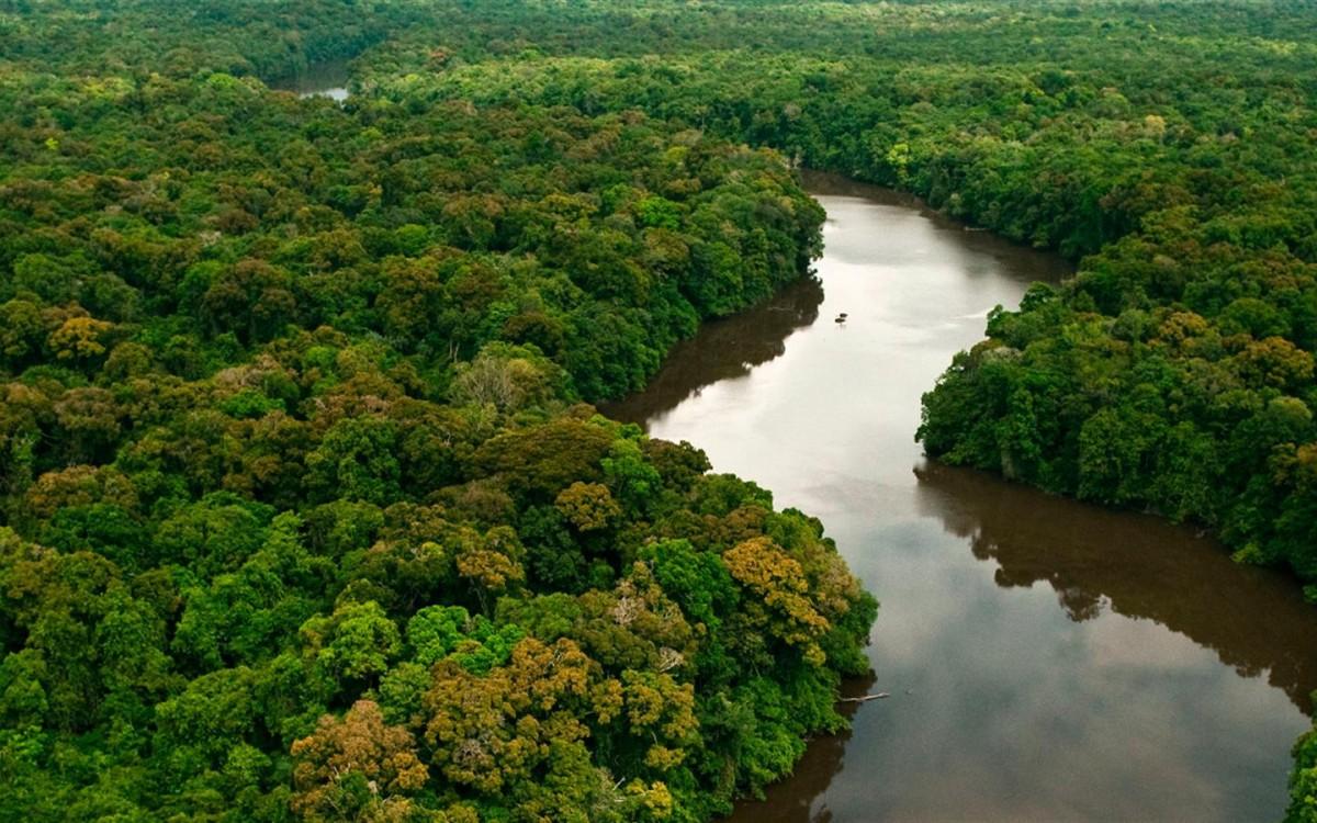 MPF move 757 ações contra desmate na Amazônia (Divulgação)