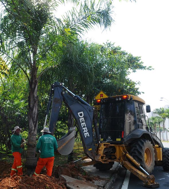 Prefeitura garantiu que haverá compensação ambiental pela retirada (Wagner Souza/AAN)