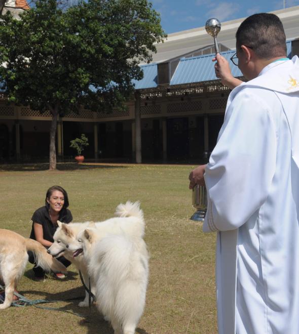 A tradicional "Bênção dos Animais" do Colégio Liceu Salesiano Nossa Senhora Auxiliadora ocorrerá amanhã, pela manhã (Matheus Pereira/AAN)