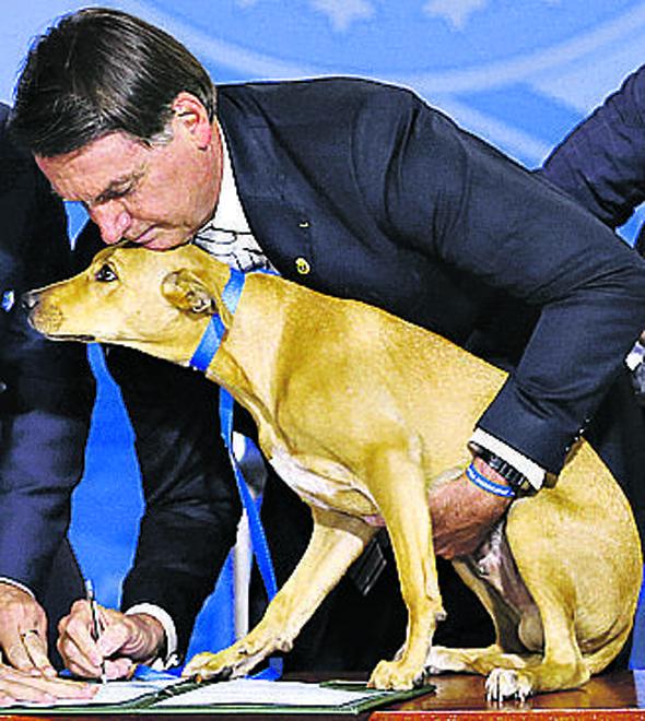 Com cão, Bolsonaro assina a lei (Marcelo Camargo/Agência Brasil)