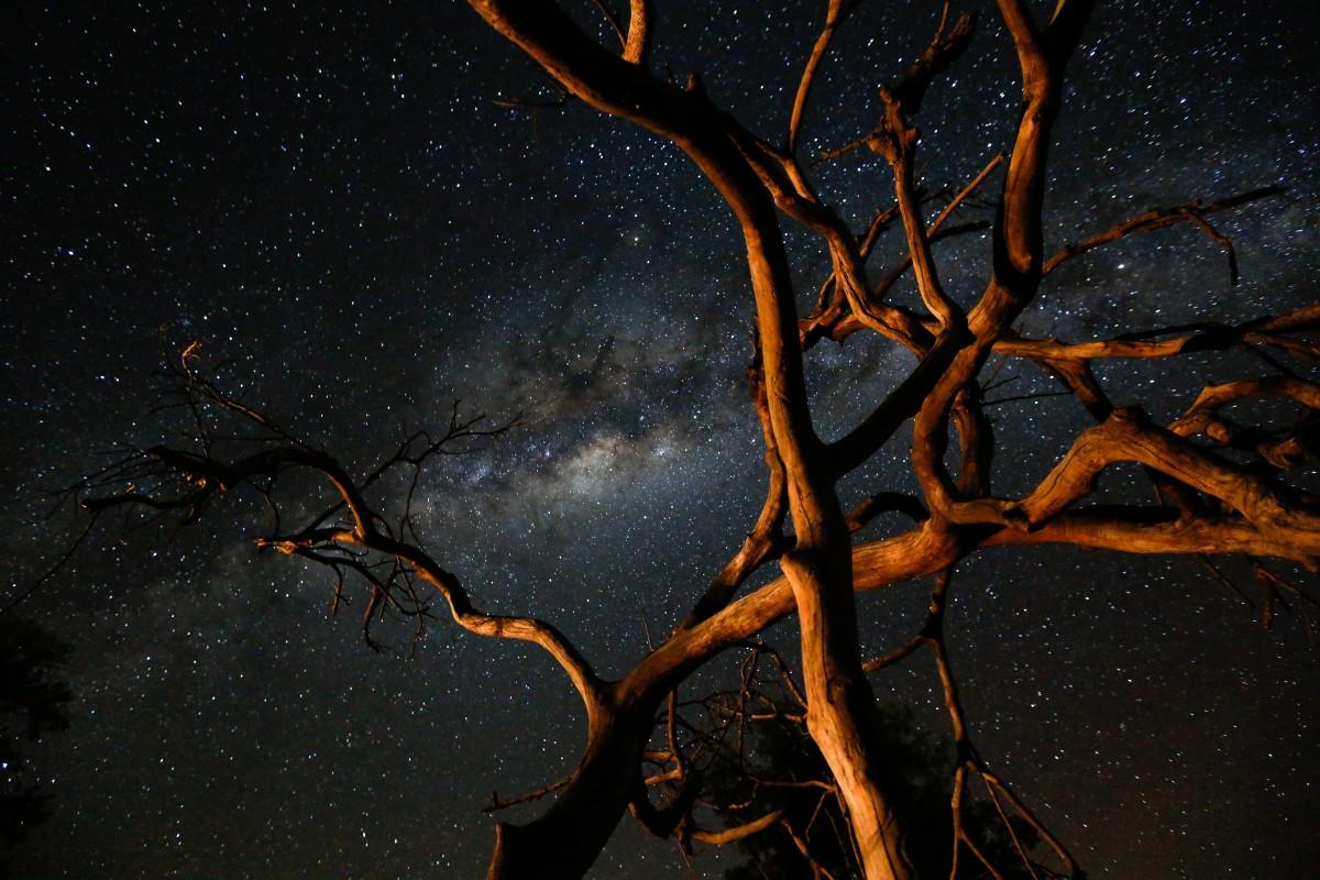 A Fine Art oferece um olhar mais artístico da fotografia (Divulgação)