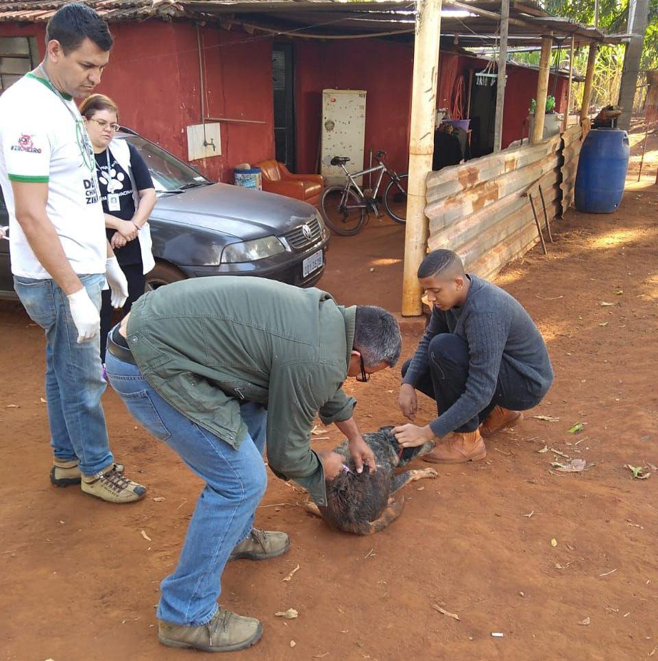 Diante da confirmação no último dia 11, o Setor de Zoonoses decidiu vacinar cães e gatos somente daquela região (Divulgação)