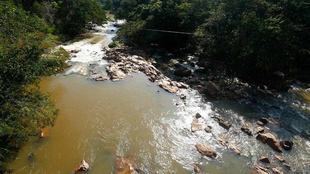 Rio Camanducaia em Jaguariúna; leito do curso de água receberá obras de desassoreamento (Gustavo Tilio)