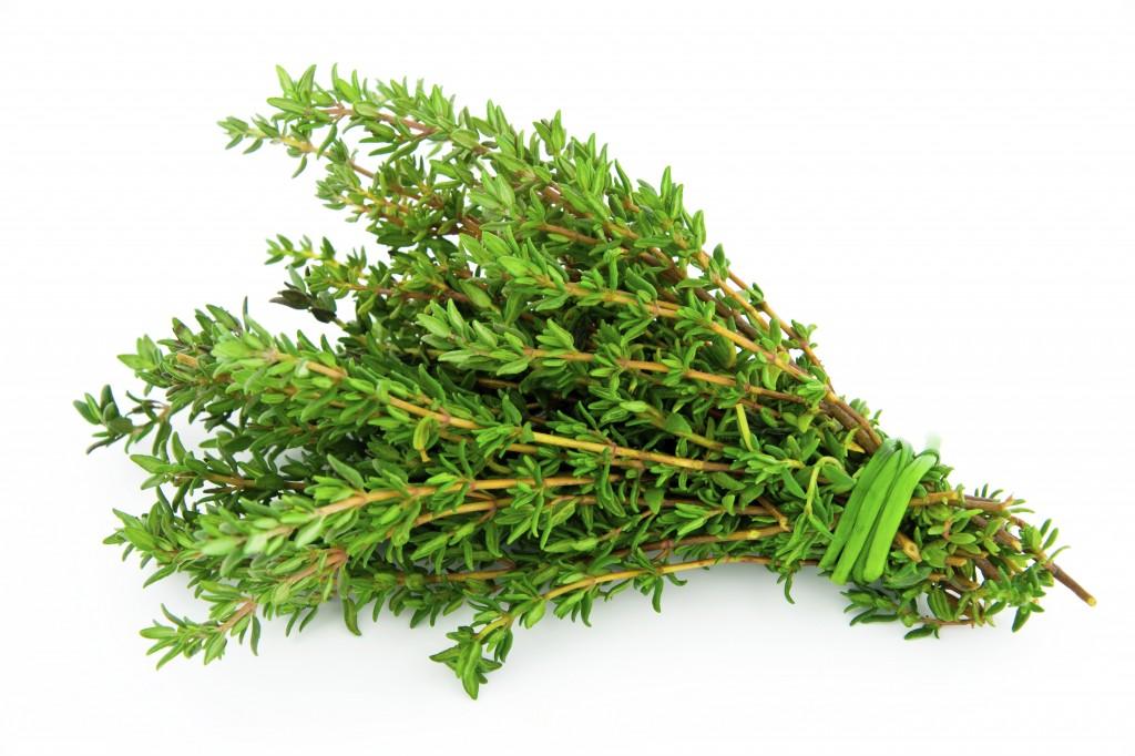 Ervas (ISTOCK)