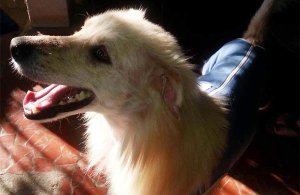 Davi, na segunda-feira (8), ao chegar &agrave; casa nova, em Itapira  (Mara Anjos/Divulgação)