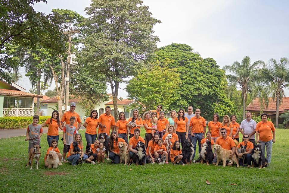 Animais do projeto C&atilde;opanheiro ajudam pessoas acamadas, portadoras de necessidades especiais, idoso em asilos e crian&ccedil;as abrigadas (  Divulgação )