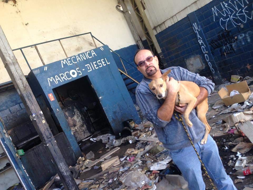 O vereador e protetor de animais C&eacute;sar Rocha, de Valinhos, resgatando um dos tr&ecirc;s c&atilde;es da oficina desativada na regi&atilde;o do Ouro Verde, em Campinas  (Arquivo Pessoal)