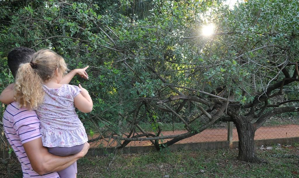 Visitantes na Santa Genebra, que teve vegeta&ccedil;&atilde;o destru&iacute;da em anos anteriores e ser&aacute; um dos pontos monitorados ( Carlos Sousa Ramos / AAN)