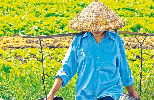 No Sudeste asi&aacute;tico, a antiga Saigon &eacute; o ponto de encontro entre as culturas chinesa e francesa no Vietn&atilde; ( Divulgação)