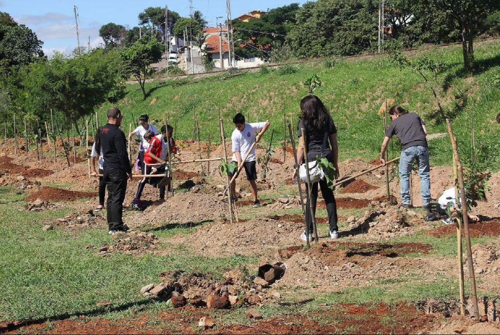 Plantio de mudas de &aacute;rvores em Vinhedo ( Divulgação)