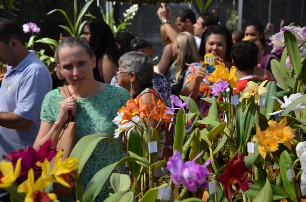 2&ordf; Mostra de Orqu&iacute;deas vai at&eacute; domingo ( Divulgação)