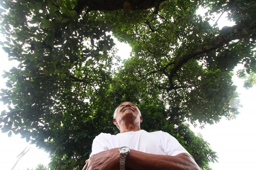 Lourival C&ocirc;rrea, de 81 anos cuida de pra&ccedil;a com &aacute;rvores frut&iacute;feras em frente &agrave; casa dele  ( Janaína Ribeiro/ ANN )