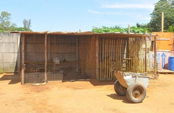 Galinheiro fica dentro do terreno do cemit&eacute;rio, em uma parte separada por um muro  ( César Rodrigues/ AAN)