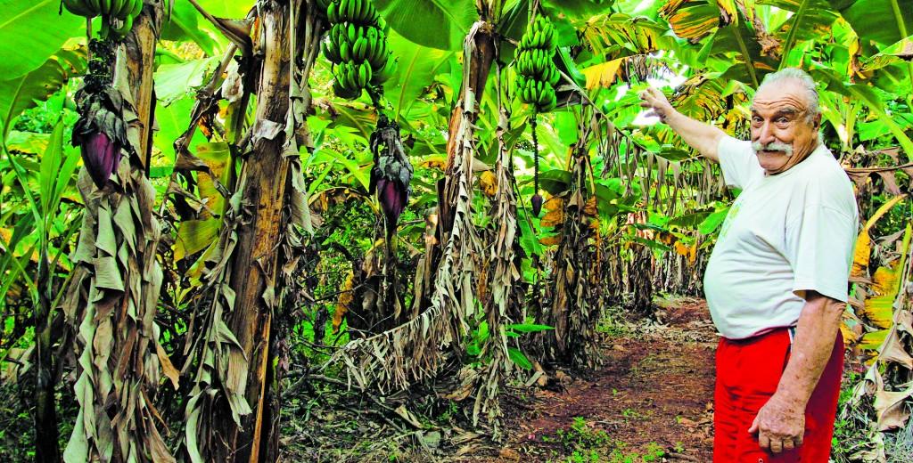 George Guido Borrmann produz frutas no distrito de Betel, em Paul&iacute;nia, e n&atilde;o abre m&atilde;o da vida no campo (Camila Moreira/ AAN)
