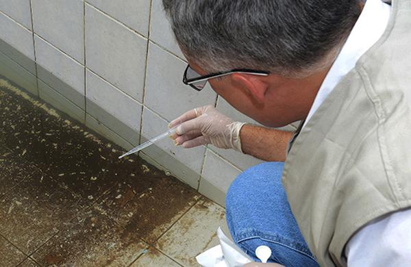 Durante a&ccedil;&atilde;o de fiscaliza&ccedil;&atilde;o contra o mosquito da dengue, agente da Vigil&acirc;ncia Sanit&aacute;ria de Campinas examina piscina de casar&atilde;o abandonado  (Carlos Bassan/Prefeitura de Campinas )