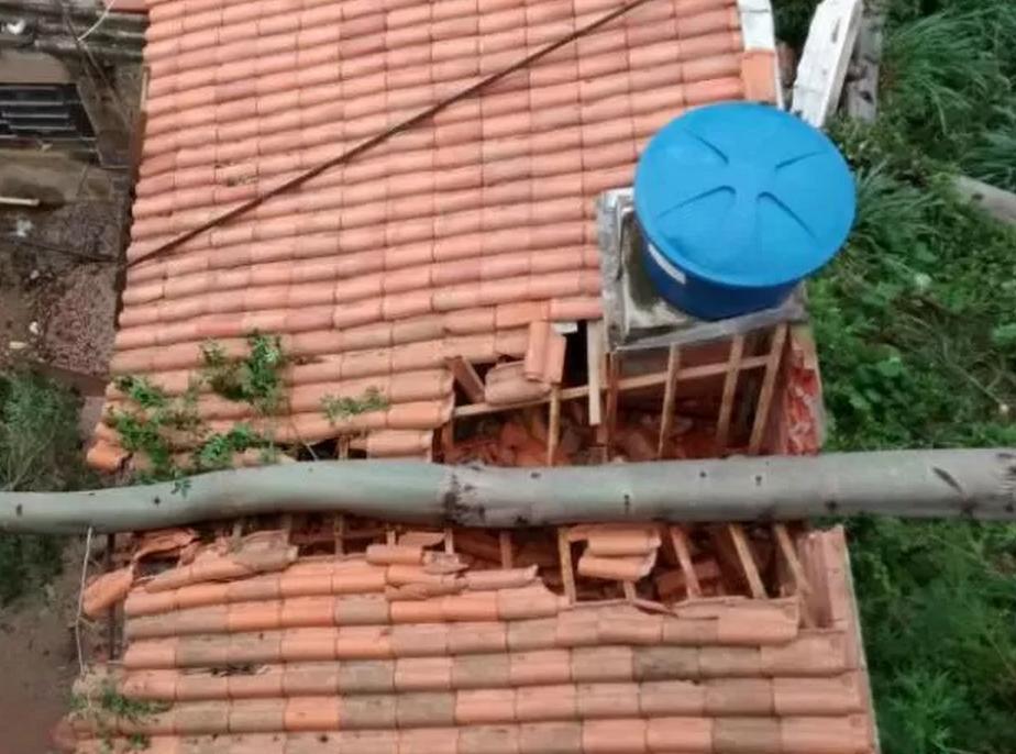 &Aacute;rvore sobre o telhado da casa, que foi inerditada (Divulgação/Corpo de Bombeiro)
