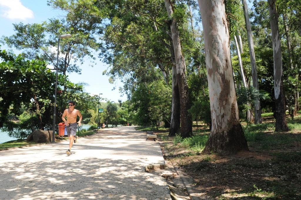 Frequentador praticando corrida na pista interna da Lagoa do Taquaral ao lado de bosque de eucaliptos ( Dominique Torquato/ AAN)