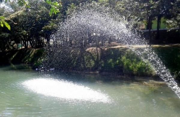 Parque Socioambiental Irm&atilde; Dorothy Stang, em Hortol&acirc;ndia  ( Divulgação)