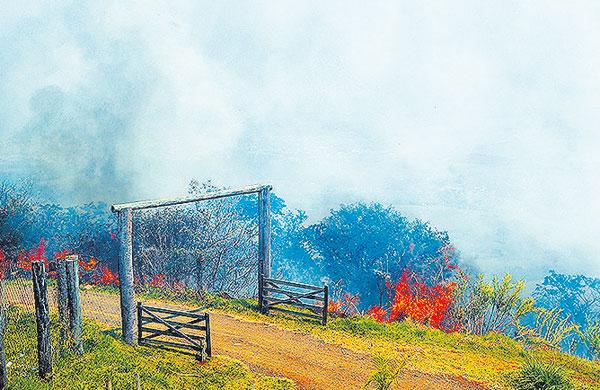 O fogo destruiu a paisagem vista do alto do Parque Golinelli: preju&iacute;zo (Daniella Oliveira/ Gazeta de Piracicaba)