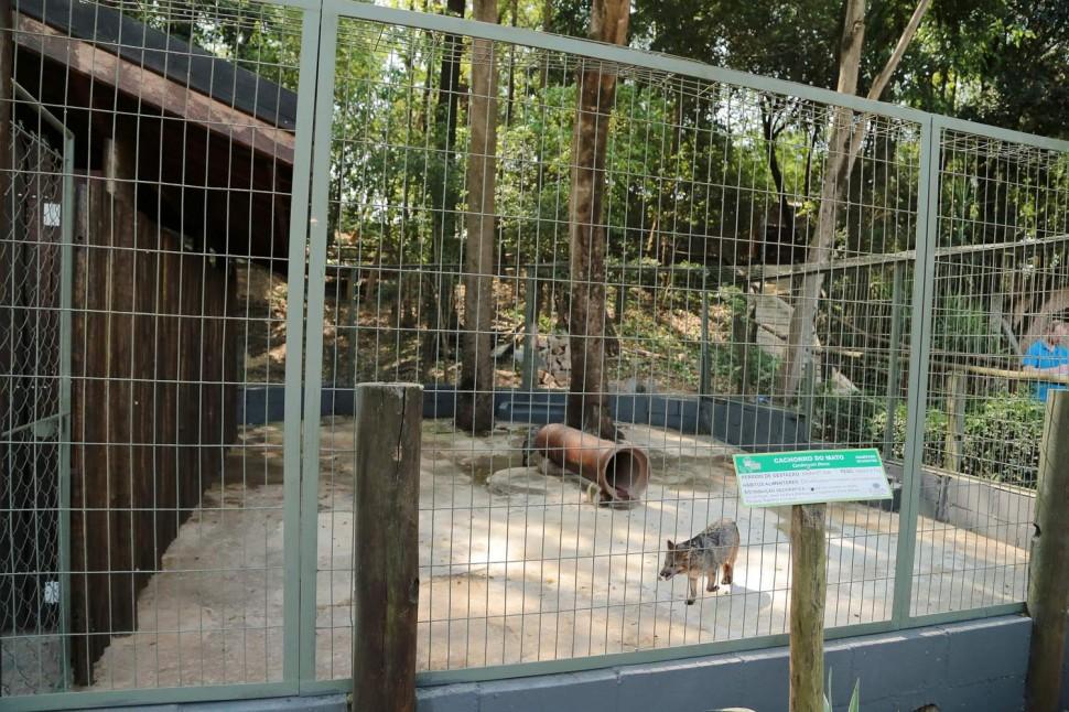 Recinto, cachorros-do-mato, reforma, Nova Odessa, Parque Ecol&oacute;gico ( Divulgação)