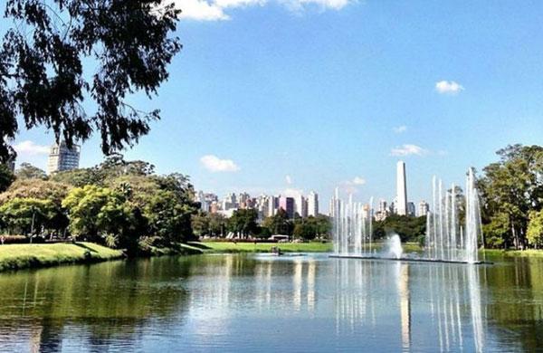 Falta d?&aacute;gua atinge at&eacute; os bebedouros do Ibirapuerar
 (Divulgação/ Pinterest)