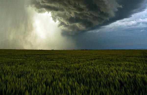 Forte chuva em &aacute;rea rural do estado de S&atilde;o Paulor
 ( Divulgação/ Devian Art)