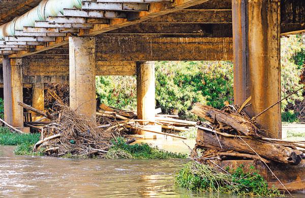 Troncos de &aacute;rvores e peda&ccedil;os de madeira enroscados sob a ponte Walter Radam&eacute;s Accorsi ( Christiano Diehl Neto/Gazeta de Piracicaba)