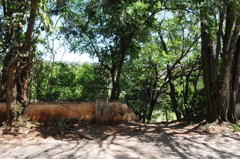 Parque Ecol&oacute;gico ( Dominique Torquato/ AAN)
