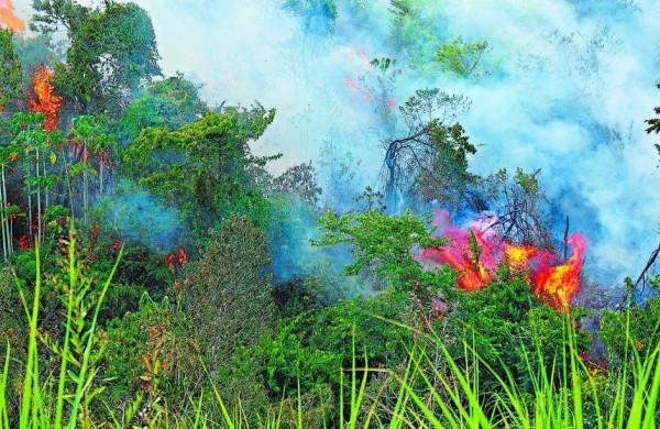 S&oacute; na &aacute;rea do 3&deg; Pelot&atilde;o da PM Ambiental, &agrave; qual pertence Piracicaba, foram detectados ontem 19 focos ( Antonio Trivelin/ Gazeta de Piracicaba )