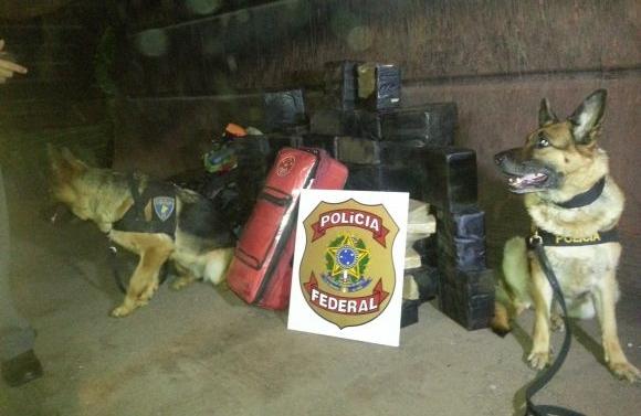 Pol&iacute;cia teve de usar c&atilde;es farejadores para encontrar a droga ( Divulgação)