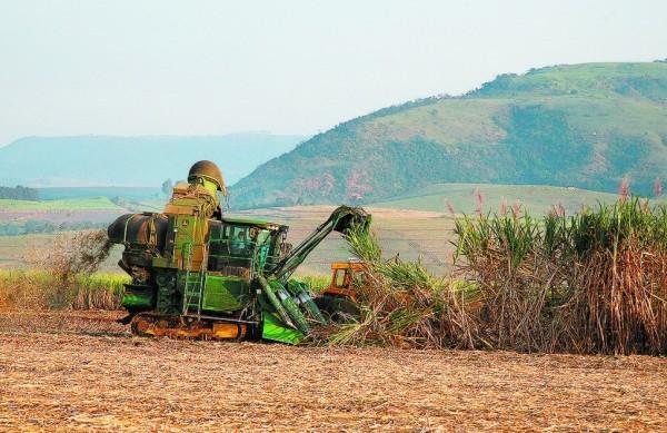 As usinas j&aacute; est&atilde;o parando de produzir e as chuvas previstas para este per&iacute;odo beneficiar&atilde;o a pr&oacute;xima safra ( Christiano Diehl Neto/ Gazeta de Piracicaba)