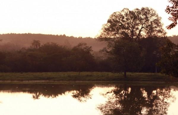 A&ccedil;ude em fazenda na &aacute;rea de preserva&ccedil;&atilde;o ambiental em Sousas; cons&oacute;rcio busca alternativas para a regi&atilde;o ( Cedoc/ RAC)
