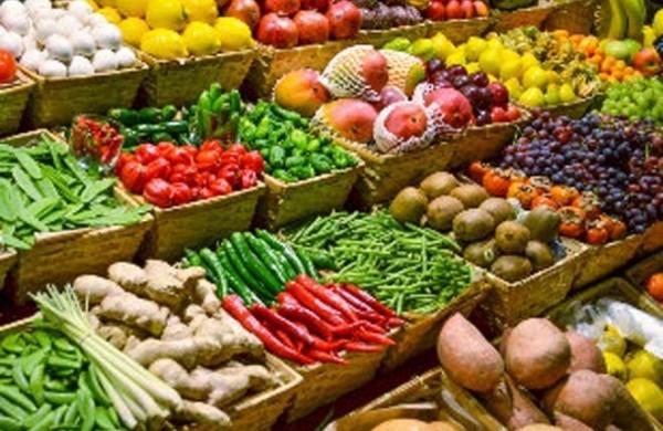 produtos organicos, legumes, debate, feira ( Cedoc/RAC)
