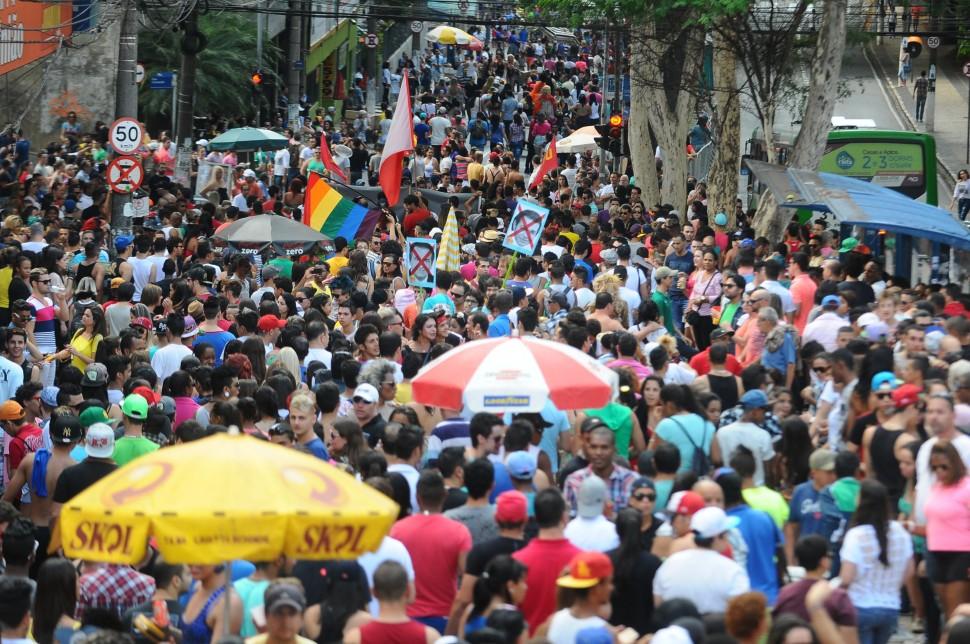 Parada Gay, Campinas, 2014 ( Janaína Ribeiro/ Especial a AAN )