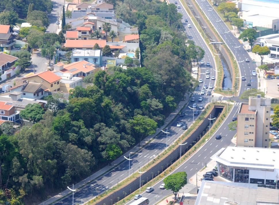 A zona urbana de Jundia&iacute; tem uma estimativa de mais de 150 mil &aacute;rvores  ( Divulgação)