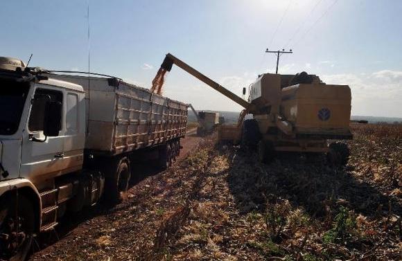 Brasil &eacute; o maior exportador de soja do planeta: ao todo, o complexo de soja representa 41% do total das exporta&ccedil;&otilde;es do agroneg&oacute;cio brasileiro  (Valter Campanato/Agência Brasil)
