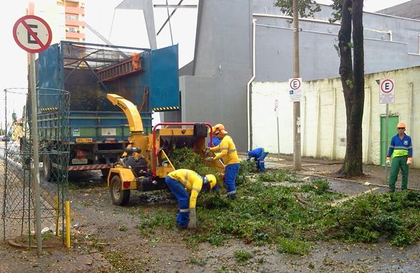 Defesa Civuil trabalha para reparar estragos: temporal atingiu Campinas, derrubou &aacute;rvores e deixou diversos bairros da cidade &agrave;s escuras (Raquel Valli/Correio)